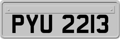 PYU2213