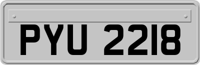 PYU2218