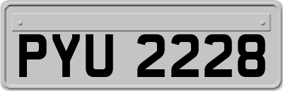 PYU2228