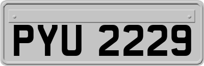 PYU2229