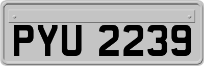 PYU2239