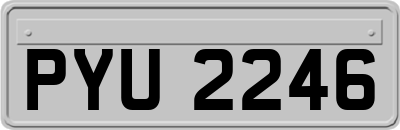 PYU2246