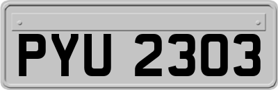 PYU2303