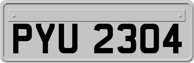 PYU2304