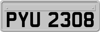 PYU2308