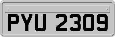 PYU2309