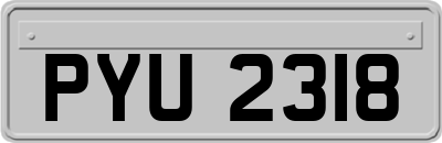 PYU2318