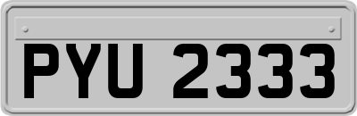 PYU2333