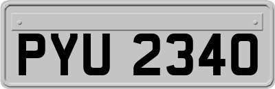 PYU2340