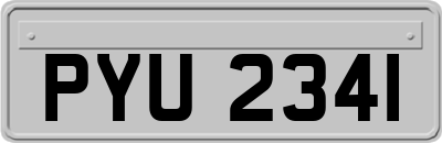 PYU2341