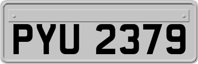 PYU2379