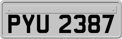 PYU2387