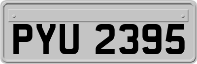 PYU2395