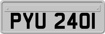 PYU2401