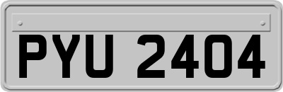 PYU2404