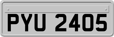 PYU2405