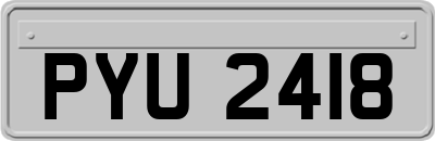 PYU2418