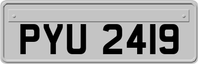 PYU2419