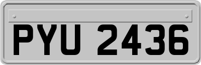 PYU2436