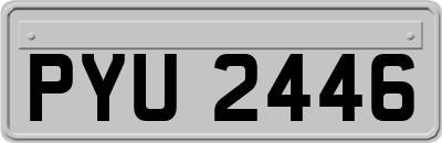 PYU2446