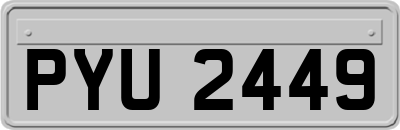 PYU2449