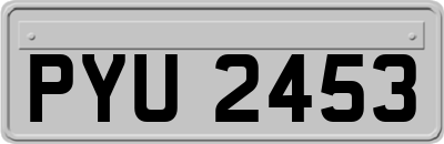 PYU2453