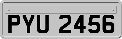 PYU2456