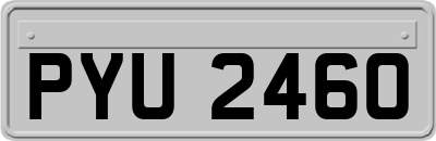 PYU2460