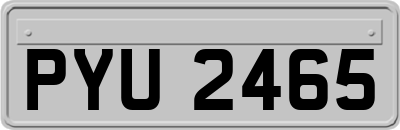 PYU2465