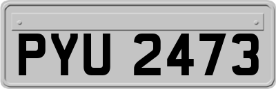 PYU2473