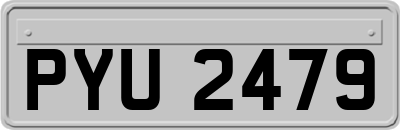 PYU2479