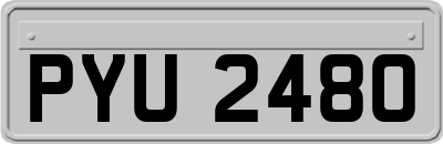 PYU2480