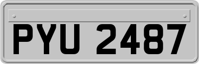 PYU2487