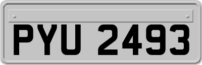 PYU2493