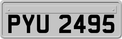 PYU2495