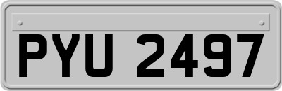 PYU2497