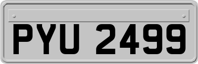 PYU2499