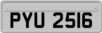 PYU2516