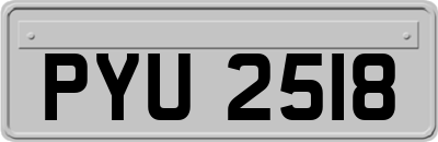 PYU2518