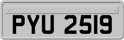 PYU2519