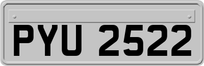 PYU2522