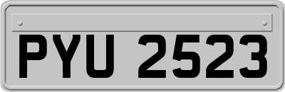 PYU2523