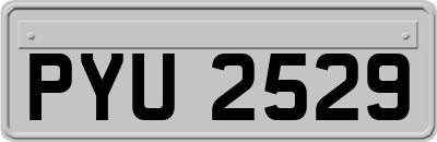 PYU2529