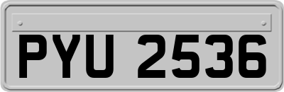 PYU2536