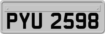 PYU2598