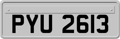 PYU2613