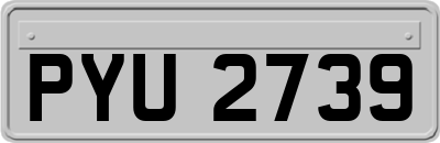 PYU2739