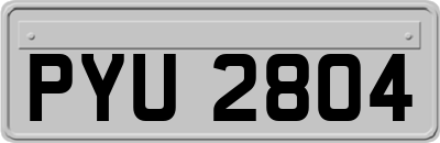 PYU2804