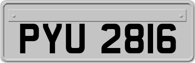 PYU2816