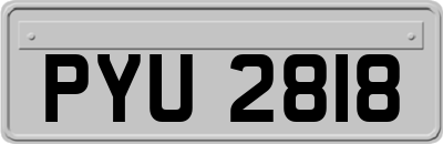 PYU2818